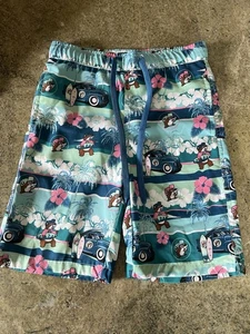Buc-ee's Youth Boys Swim Trunks Size Xsmall - Picture 1 of 4
