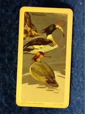 1959 -1974 Brooke Bond / Red Rose Tea Cards, Black & Blue Stripe cards U-Pick-1