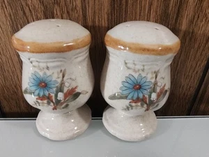 Vintage Mikasa Blue Daisies Salt And Pepper Shaker Set - Picture 1 of 1