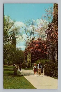 Postcard Campus View at Cornell University Ithaca New York - Picture 1 of 2