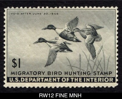 RW12 FINE MNH 1945 Shovelers Federal Duck Stamp US Migratory Waterfowl - Image 1 of 2