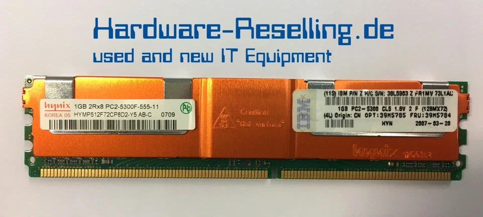 IBM Lama 38L5903 1X 1GB Server RAM 2Rx8 PC2 5300F-555-11-11 ECC - Immagine 1 di 1