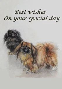 PEKINGESE TWO CUTE DOGS DOG BIRTHDAY GREETINGS NOTE CARD - Picture 1 of 1