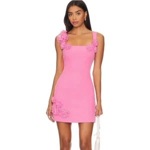 Elliatt Trompe Pink 3D Floral Embellished Mini Dress Large L - Picture 1 of 8