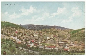 Ward Colorado CO Panoramic Town View c. 1910 - Picture 1 of 2
