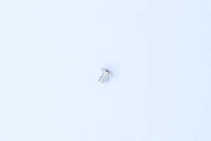 INT Durowe 7410 7420 7520 Part 245 H=175 Chausse Cannon pinion Rocchetto minuti - Picture 1 of 1