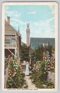 Hollyhock Lane - Provincetown Mass Cape Cod street view flowers nice - Picture 1 of 2