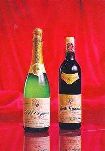 pb 32 - Anni 70 VÒ (PD) CANTINA SOCIALE COLLI EUGANEI - Pubblicità -non viagg - Bild 1 von 2