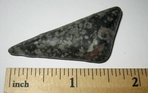 2" TUMBLED NATURAL CRINOID MARBLE FOSSIL STONE FROM THE OCEAN FLOOR ~ 11g *24 - Picture 1 of 2