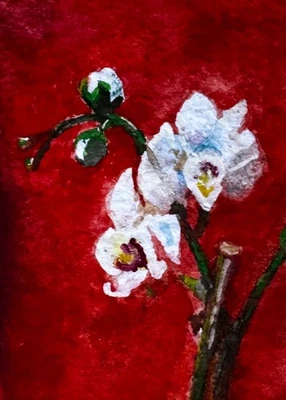 ACEO ORIGINAL hand made watercolor painting -white orchid- JFM  - Image 1 of 2