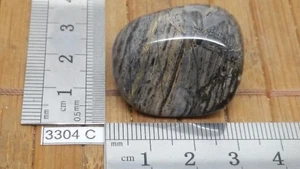 JASPE FEUILLE D'ARGENT pierre roulee TOP mineraux lithotherapie reiki collection - Picture 1 of 2