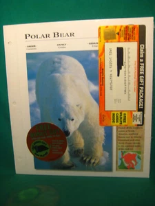 Wildlife Explorer Cards-6 Random Cards New in Plastic Wrap - Picture 1 of 3