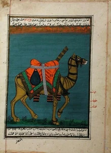 Mughal Painting, 18/19c, Drawing on Paper, See Reverse for Text - Picture 1 of 2