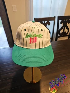 Rare Vintage NASCAR Dale Jarrett 18 Snapback Embroidered Hat Cap Pin Stripe - Bild 1 von 13