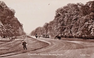 EGC Vintage Postkarte, Chestnut Avenue, Bushy Park, Teddington zeigt alte Autos - Bild 1 von 1
