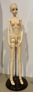 Domuya BJD Doll Resin Female Doll (64cm) D-one Bodies 26” $800 - Bild 1 von 12