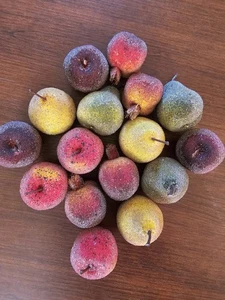 Fruta de plástico azucarado 16 excelente estado. Manzanas caquis peras - Imagen 1 de 6