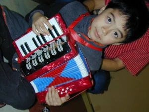 Berkeley Real 17Key Piano Accordion 1.5 Octave C to E - Picture 1 of 12