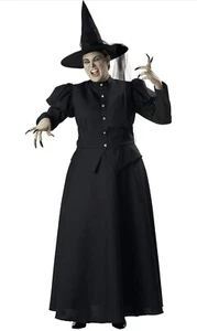 Incharacter Wretched Wicked Witch Adult Costume Xl - Picture 1 of 5