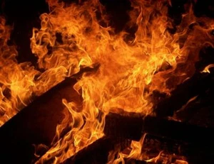 TRONCOS DE MADERA ARDIENDO FUEGO BRILLANTE PÓSTER FOTO PANCARTA campamento llamas frescas 3998 - Imagen 1 de 1