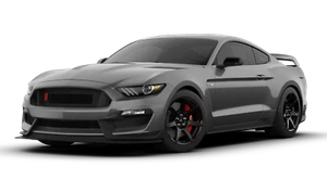 2019 Ford Mustang Shelby Cobra GT350R GARAGE STEEL SIGN 23"x10" Magnetic Gray - Bild 1 von 5
