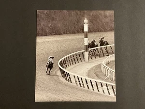 SECRETARIAT 1973 BELMONT STAKES photo Horse Racing TRIPLE CROWN CHAMPION - Picture 1 of 2
