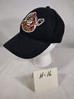 (H16) Binghamton Senators AHL Hat/Cap Embroidered Logo Adjustable Black