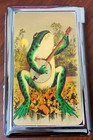 Vintage Banjo Frog Cigarette Case with lighter ID Holder Wallet