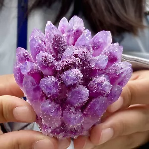 199G Natürlicher Lila Quarz Kristall Cluster Präparat Kristall Blumen Dekor - Bild 1 von 12