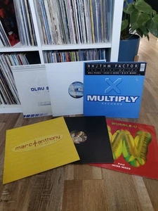 HOUSE VINYL COLLECTION 6 x 12" BUNDLE MULTIPLY SPECTRUM MOMENTUM INDOLENT REC - Picture 1 of 20