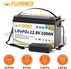 12V 100Ah LiFePO4 Lithium Batterie Solar Wohnmobil Akku BMS 10 Jahre Lebensdauer - Bild 1 von 15