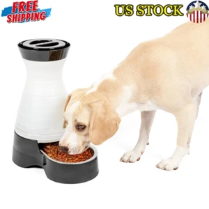 Gravity Feeder Medium Automatic Pet Food Dispenser Easy Clean Stainless Steel US - Picture 1 of 4