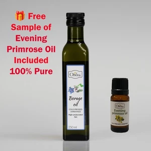 Borretschsamenöl - kaltgepresst 250 ml - GRATIS Probe Nachtkerzenöl - Bild 1 von 2