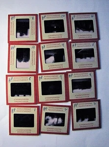 Vintage 1954 35mm Kodachrome Amateur Travel Slide Photos London Street Scenes - Picture 1 of 10