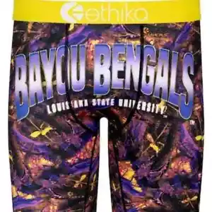 L.S.U. Calzoncillos boxer básicos LSU TIGERS ETHIKA ropa interior para hombre M, L o XL NUEVOS CON ETIQUETAS $32 - Imagen 1 de 4