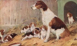 Postcard Pointer Mother Dog Eight Puppies Dog House PM 1910 - Picture 1 of 2