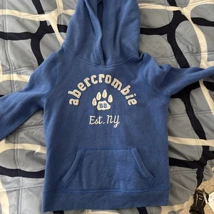 Abercrombie Kids Logo Kangaroo Pocket Hoodie Blue Girl’s Size M - Picture 1 of 3