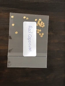 Red Capsicum Seeds x 25 - Picture 1 of 1
