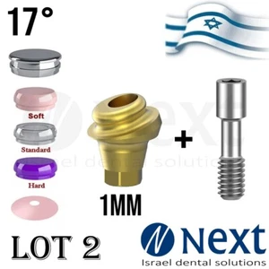 LOTx2 Angulated 17 deg Flat abutment 1 mm Hiossen Regular Set - Picture 1 of 4
