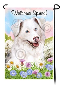 Welcome Spring Garden Flag - White Australian Shepherd - Picture 1 of 1