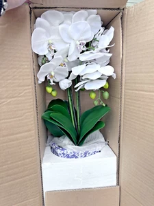 Valerie Parr Hill White Orchid Arrangement in Decorative Ceramic Pot QVC 25th - Picture 1 of 10