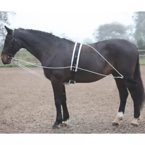 Shires Spannhilfe - Bild 1 von 1