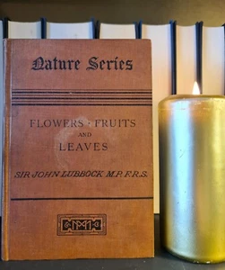 Fruits, Flowers & Leaves, John Lubbock: Nature Series: Hardback: Botany: 1886 - Picture 1 of 6