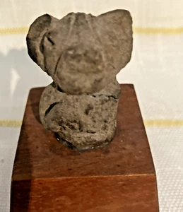 Fino Jaguar Precolombino Gato Murciélago Cabeza de Dios Cerámica Fragmento Montado - Imagen 1 de 13