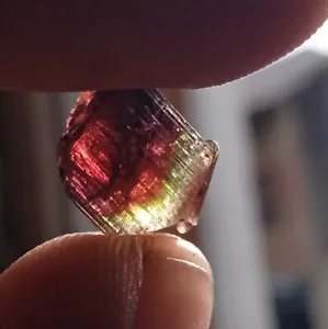 5.6 Carat 9.8x8x7.5 MM Natural Watermelon Bi Color Tourmaline Raw Rough Gemstone - Picture 1 of 16