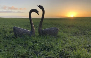 Swan Pair Garden Statues Pond Decoration Aluminium Bronze Effect - Picture 1 of 12