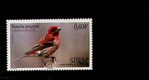 St. PIERRE & MIQUELON Sc 1022 NH ISSUE OF 2016 - BIRD - Picture 1 of 1