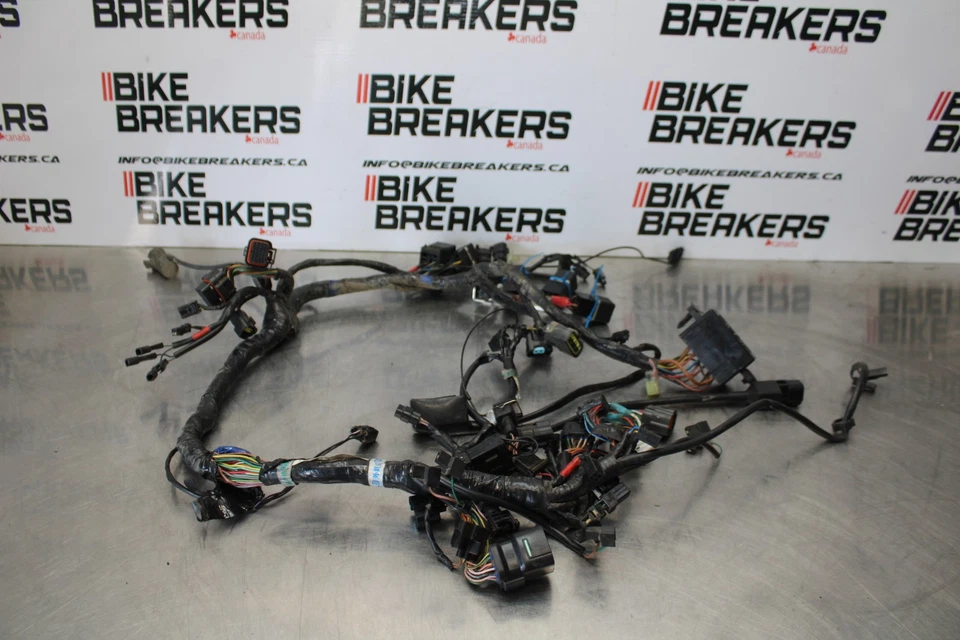 05 TRIUMPH ROCKET III CHICOTE DE FIOS DO MOTOR PRINCIPAL TEAR DE FIO DO MOTOR BB186 - Imagem 1 de 4