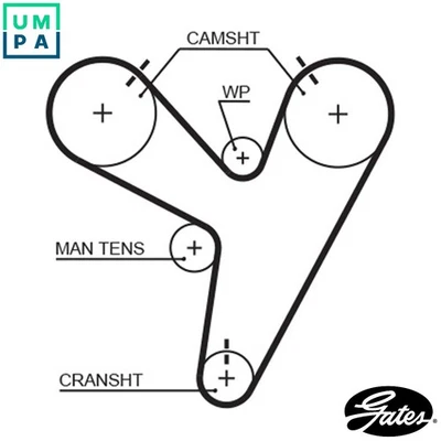 TIMING BELT T279 FOR HONDA LEGEND/III/Mk C35A2 3.5L 6cyl LEGEND III - Image 1 of 4
