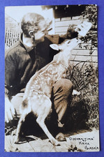 Postcard 'Dinner Time' at Kake,Alaska.Feeding Red Deer, RP. on Kodak c1930s